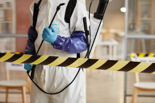 Professional Hoarding Cleanup technician working in Ellsworth, ME